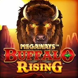 Buffalo Rising